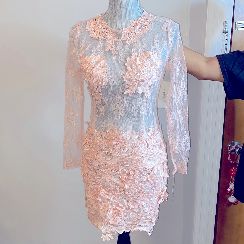 Delicate Lace Mesh Cocktail Dress